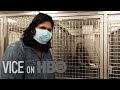 The Life Of A Professional Lab Rat
