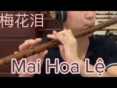 Mai Hoa Lệ - Sáo trúc Đào Duy cover | dizi TXD02 Key C