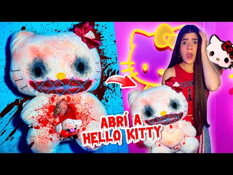 I opened a Hello Kitty plushie and it confessed that it did something very bad 🎀💀 | Ani Cat 😻