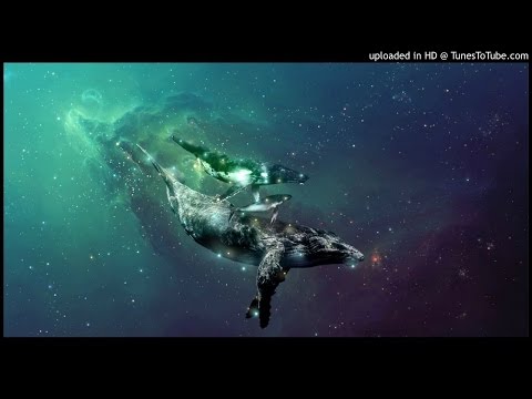 space whale sounds