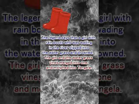 Was Tangela Originally a Human!? #shorts