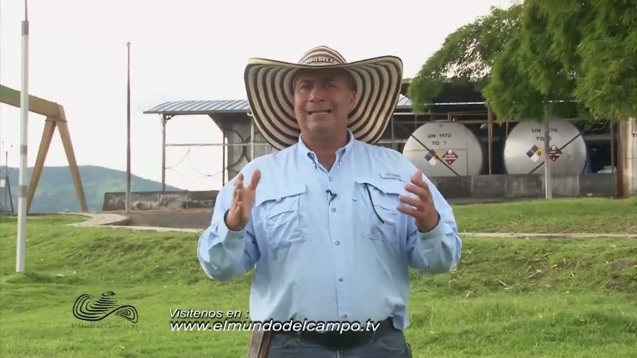 INTEGRACIÓN VERTICAL DEL CULTIVO E LA CAÑA SAN JOSE DE PARE