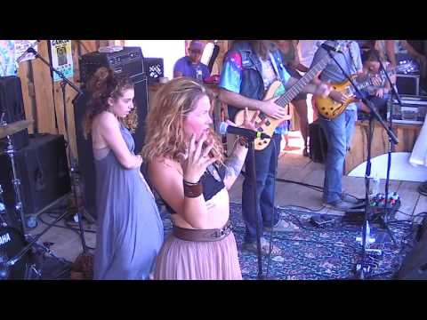 Hayley Jane and the Primates "Hurricane Jane" @ Jerry Jam 2017!
