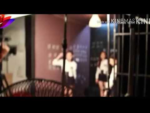 Behind the scene of kamikaze