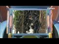 You Ve Been Framed Series 23 Episode 1 November 20 2010 Part 1 2