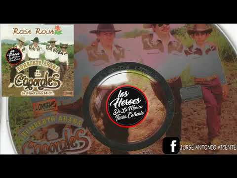 LA GENTE ME PREGUNTA(Aut Humberto A.)Humberto Arana Y Sus Caporales De Huetamo Mich