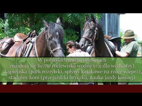 Agroturystyka Dom wypoczynkowy Dom wczasowy Zamość Roztoczański Dworek