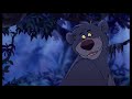 Bare Necessities
