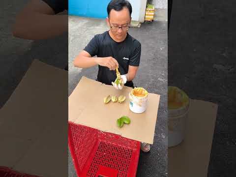 Sơn trái khế vàng cực đẹp để chưng