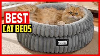 ✅Top 5 Best Cat Beds in 2026