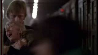 Flight of the Nighthawks