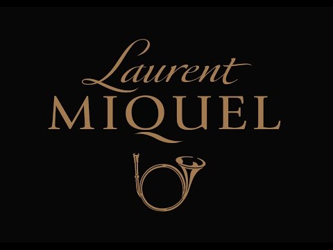 Laurent Miquel presentation