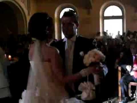 Reyhan & Gökhan (Dügün)