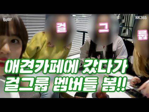 견생 최고의 전성기를 맞이하다,, 걸그룹이랑 애견카페 간 모아!! 모아는 누구를 만났을까요?ㅣ 모아 曰 : 행복한 견생이다...ㅣ 강아지 VLOG