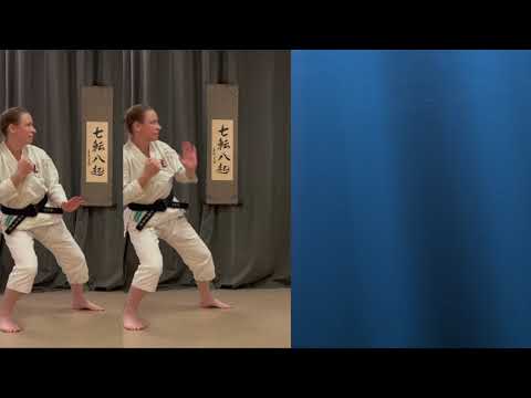 Sorimi uwa uke geri | How to block and kick in Shorinji Kempo