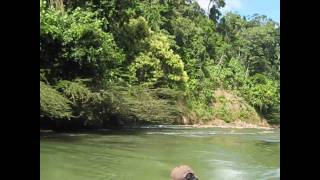 preview picture of video 'Paisajes del río Sepahua'