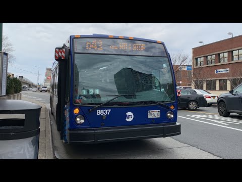Q43 Bus
