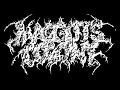 Maggots Colony - Delirium Desire