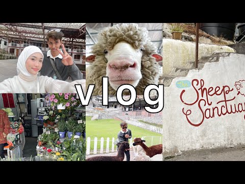 FIRST VLOG WITH AYANG ! - AMMOR HAPPYKAN TEAH 24 JAM