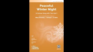 Peaceful Winter Night