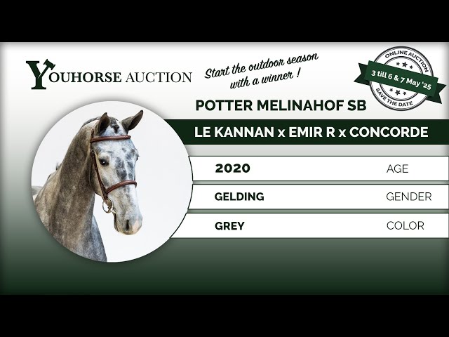 Potter Melinahof SB