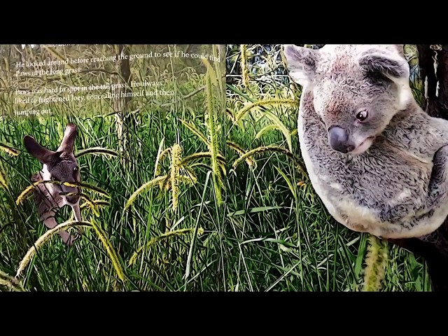 Vídeo relacionado con The Rumbling Bush Monster: Book Two- Joey the Koala and Paws the Kangaroo go on an adventure.