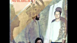 Wildcat! Wildcat! - Mr. Quiche