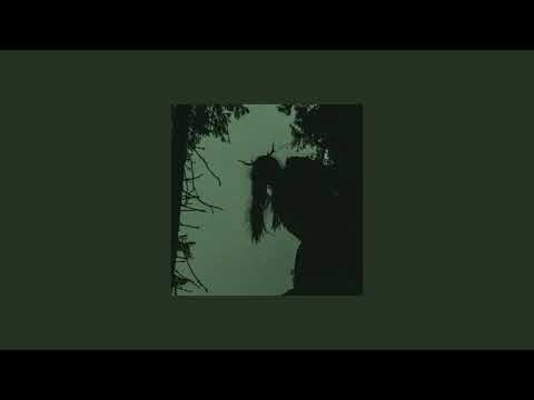 Go_A - SHUM // slowed + reverb