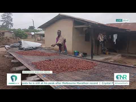 Ageing Cocoa Farmers Raise Concerns Over the Future of Ghana’s Cocoa Industry