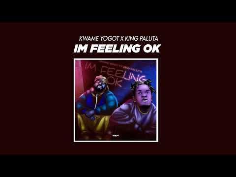 Kwame Yogot & King Paluta - Feeling Okay (Audio Slide)