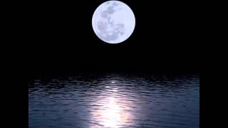 Reaching For The Moon - Tony Farrell