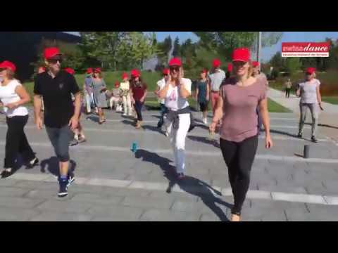 download lagu mp3 mp4 Swissdance, download lagu Swissdance gratis, unduh video klip Swissdance