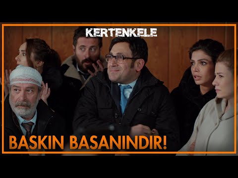Ortalık karışıyor! - Kertenkele