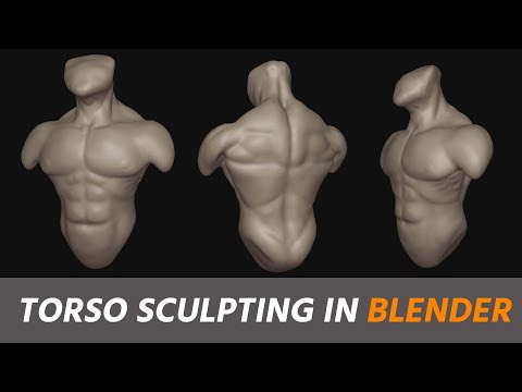 Learn Torso Sculpting in Blender in Minutes