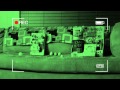Proof that the EASTER BUNNY Exists! - YouTube