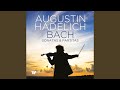 Partita for Solo Violin No. 2 in D Minor, BWV 1004: V. Chaconne