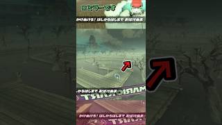 【マリカワールド】かけぬけろ！はしからはしまでおばけぬま 【ショートミラー４５】【ゆっくり実況】 #shorts #Ｐスイッチ