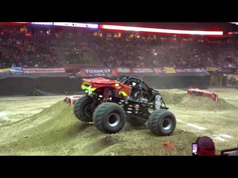 Snake Bite Freestyle