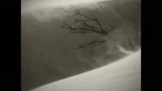 John Foxx & Harold Budd - You Again