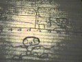 Greeny Phatom Comics Little Guy The Green Boy From PBS Kids Part 1