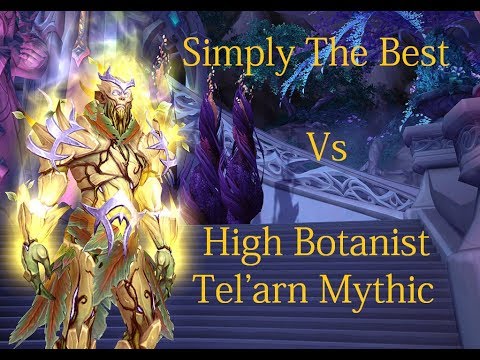 Simply The Best Vs High Botanist Tel'arn Mythic - Retribution Paladin PoV