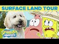 Surface Land Tour ️ SPONGEBOB S BIG BIRTHDAY BLOW OUT SpongeBob