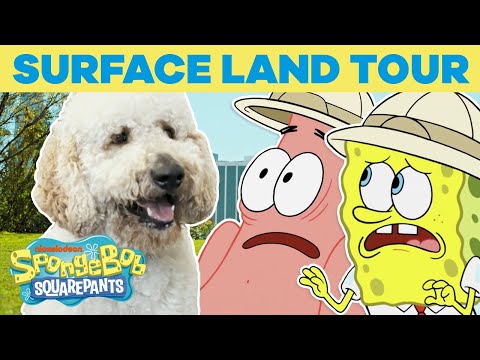 Surface Land Tour 🏝️ SPONGEBOB'S BIG BIRTHDAY BLOW OUT 🎉 SpongeBob