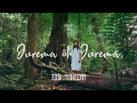 Cantos da Floresta - Jurema Ôh Jurema - Josii Yakecan - PSEUDOCLIPE COM LETRA