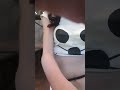 White Crossdresser Look Alike Pandas Shedding New Light On Trangender Species
