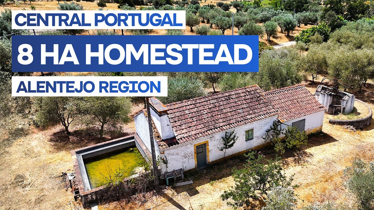 Vídeo do imóvel