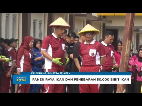 POLDA SUMSEL PANEN RAYA 2,5 TON IKAN