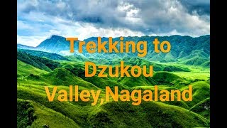 preview picture of video 'Trekking to Dzukou Valley'