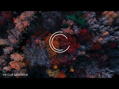 Hugo Cantarra, Shyam P, Emmanuel Diaz - Freedom (Extended Mix)