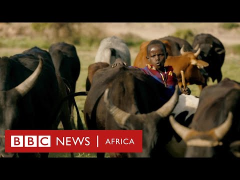 Cattle, Crops and Iron - History Of Africa with Zeinab Badawi [Episode 2]
